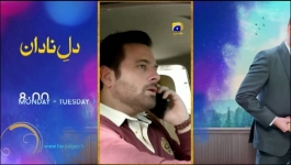 Guddi - Episode 12 - 31st December 2024